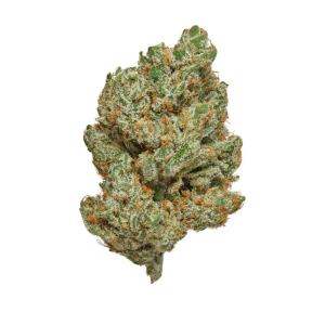 amnesia cbd