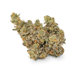 flor de cbd, jasmine